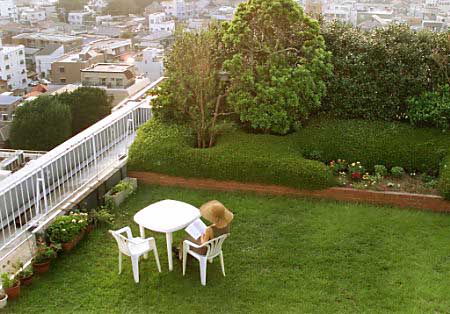 Rooftop garden, Tokyo, August 5, 2002.
